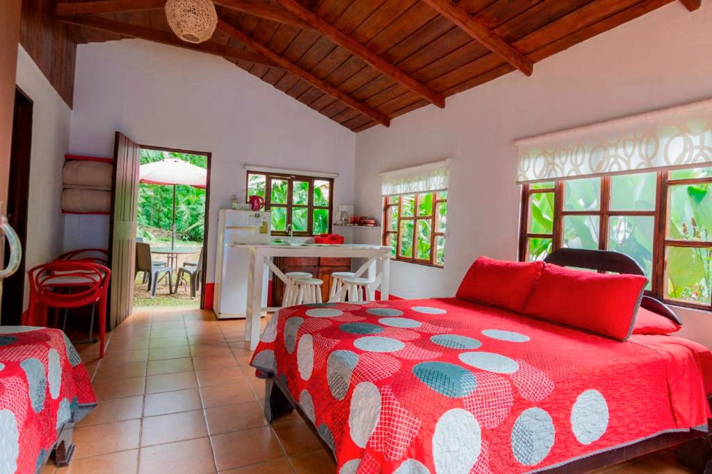 Casa Tucán — Selva Color