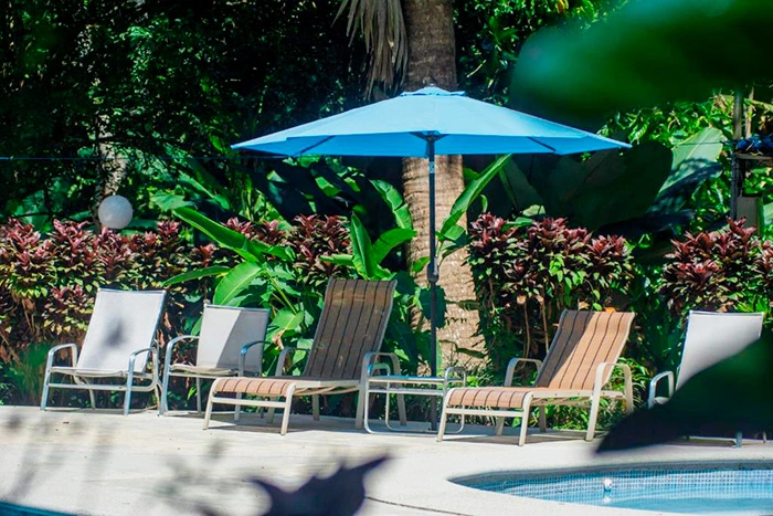 Selva Color — camastros junto a la piscina