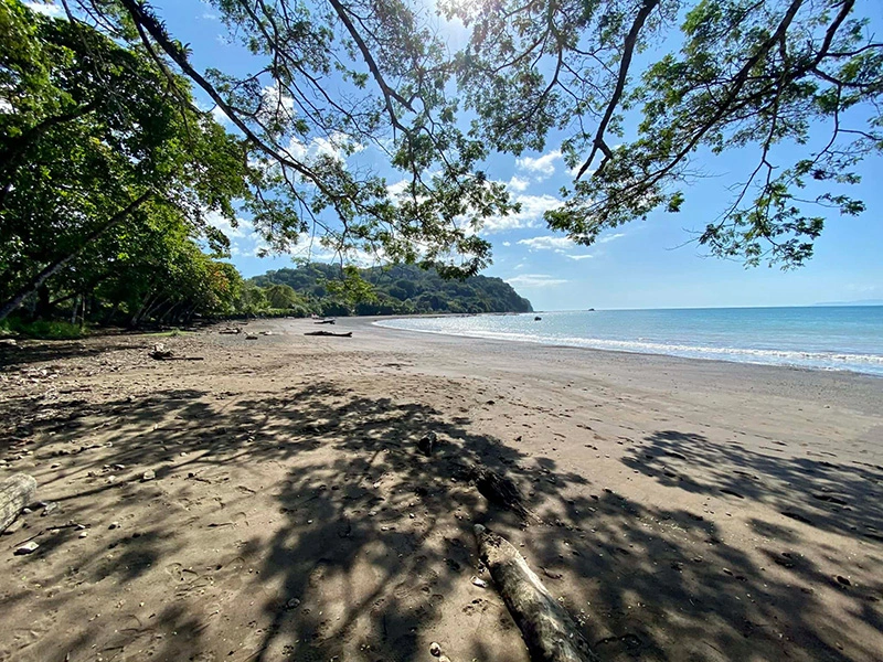 Selva Color — Playa Aguja, Pacífico Central