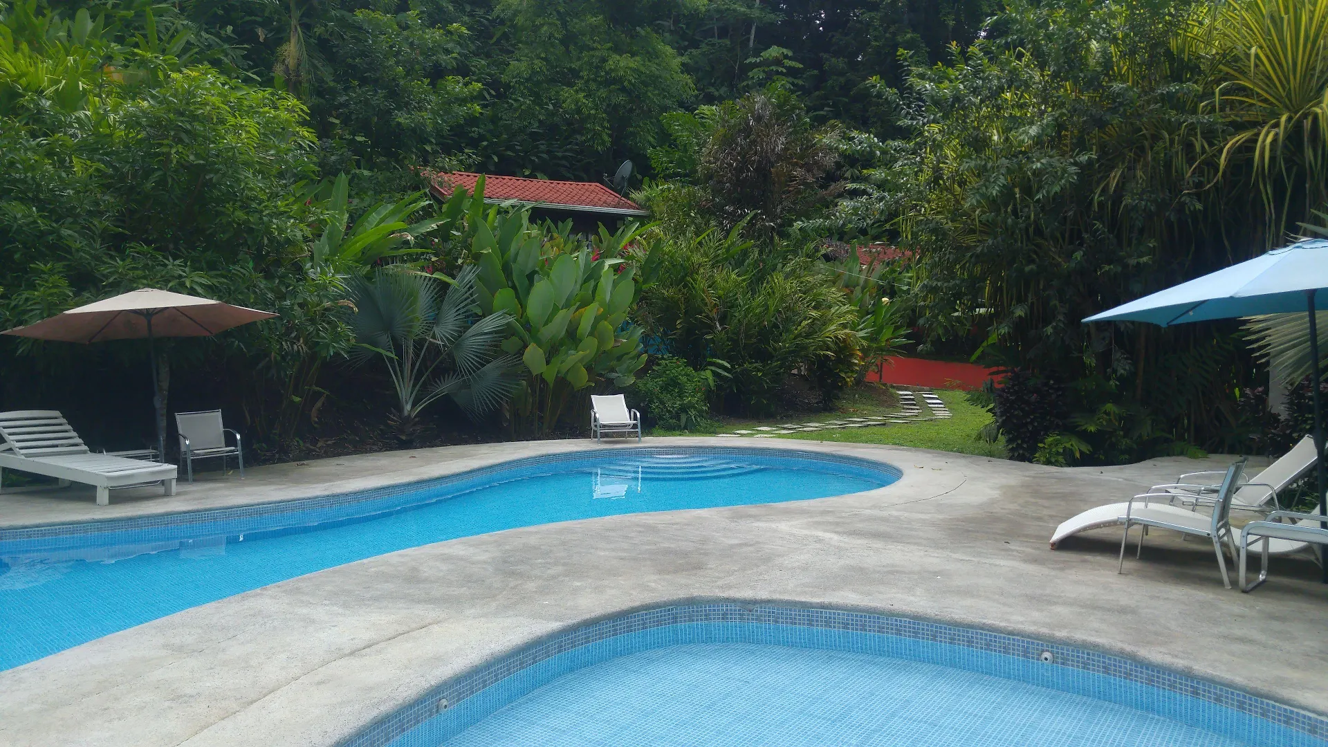 Selva Color — piscina rodeada de selva tropical