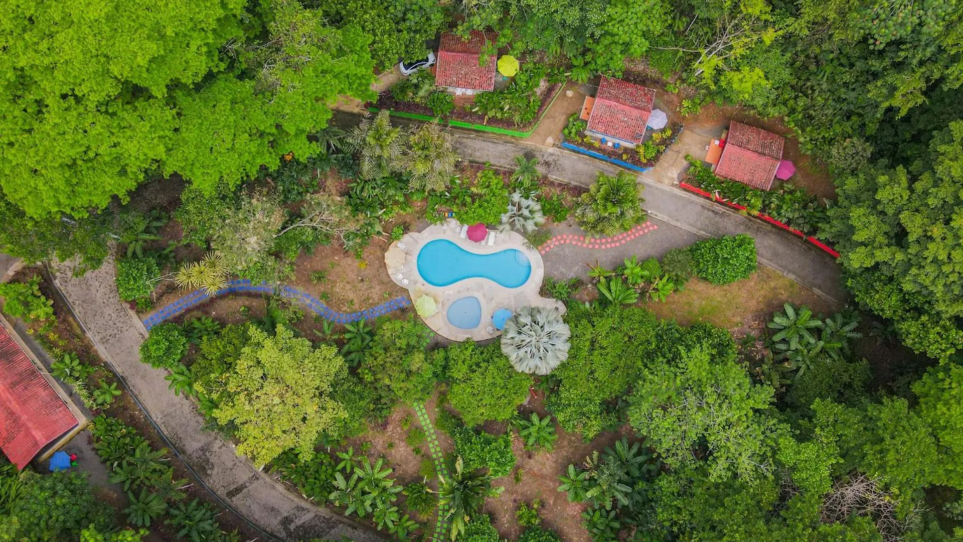 Selva Color — vista aérea de la propiedad entre la selva
